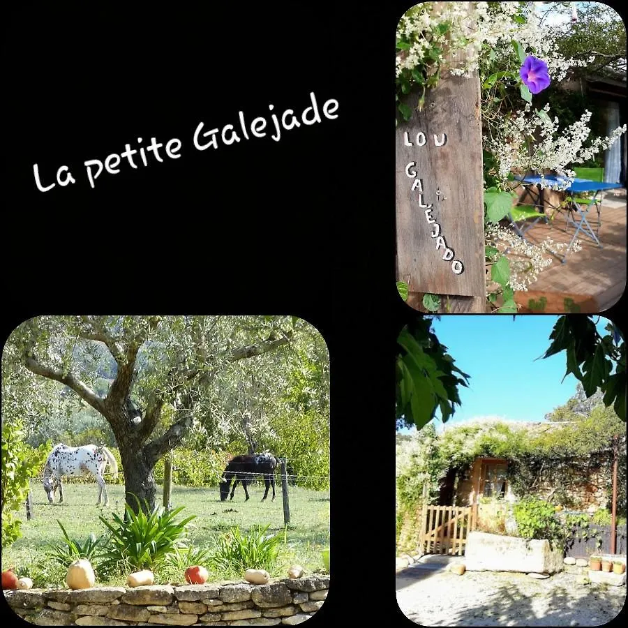 Holiday home La Petite Galejade Villa Gordes