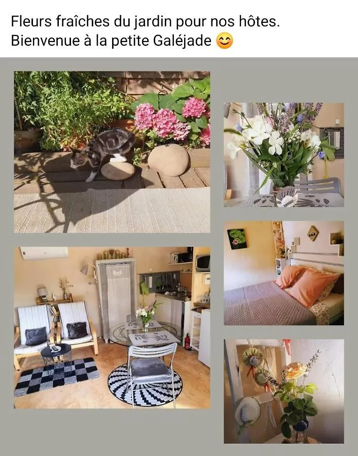 La Petite Galejade Villa Gordes 0*,