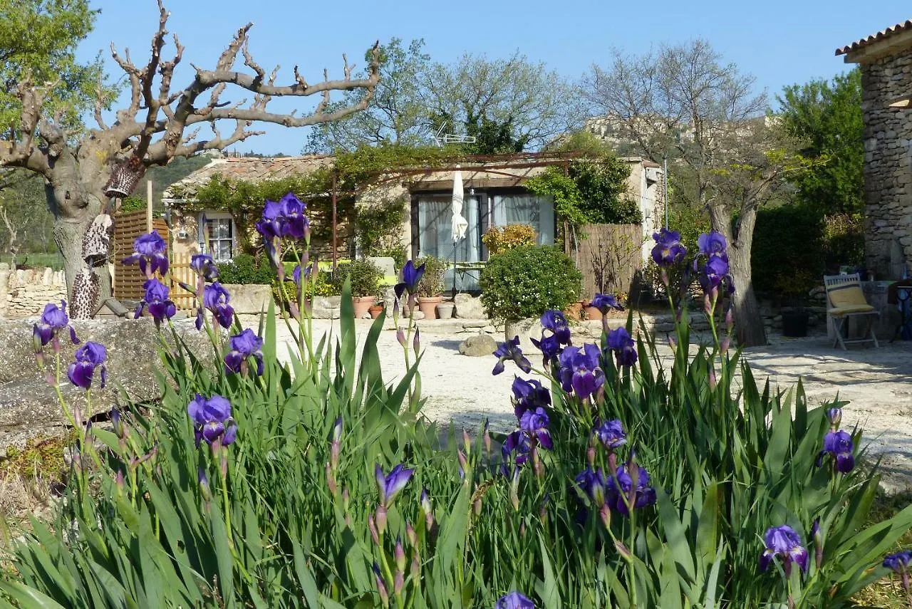 Holiday home La Petite Galejade Villa Gordes