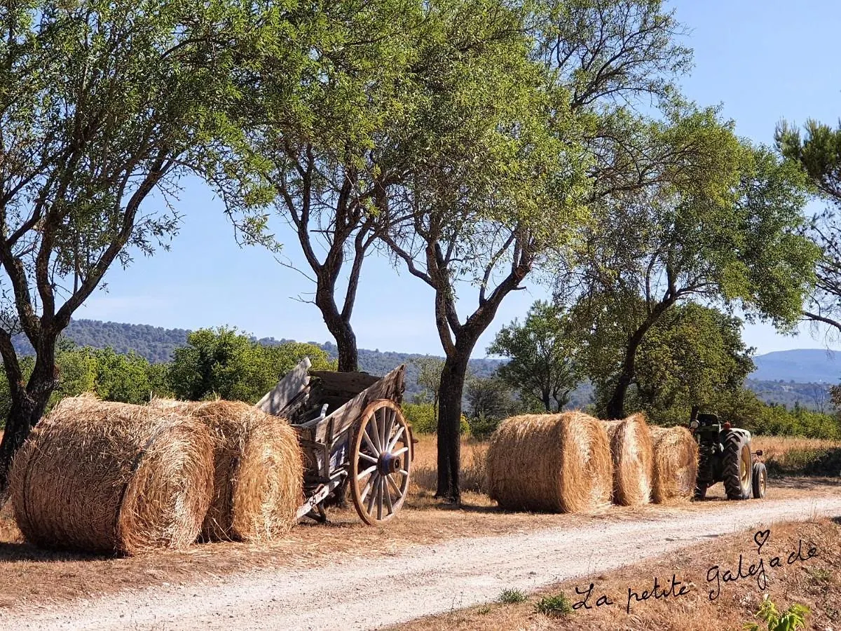 Σπίτι διακοπών La Petite Galejade Βίλα Gordes Γαλλία