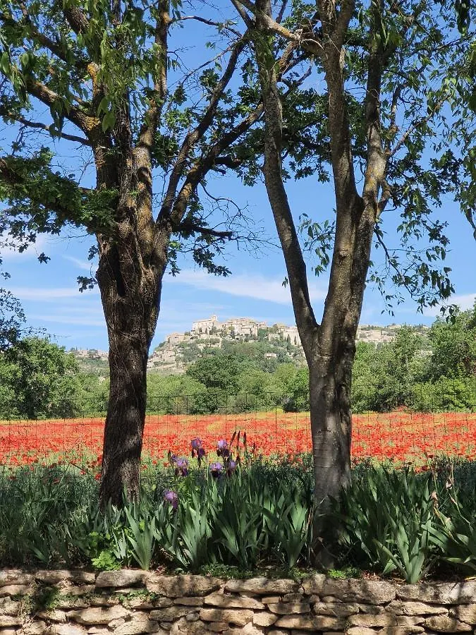 La Petite Galejade Βίλα Gordes